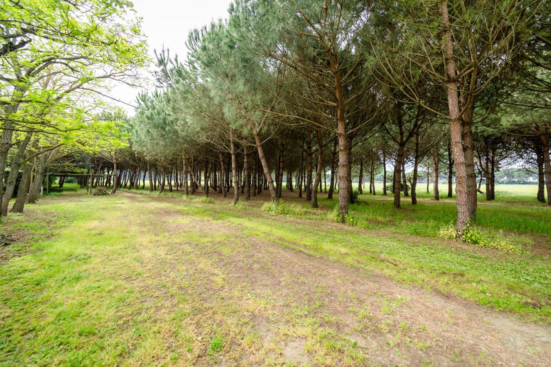 Agriturismo Bio Femminella Principina a Mare Esterno foto