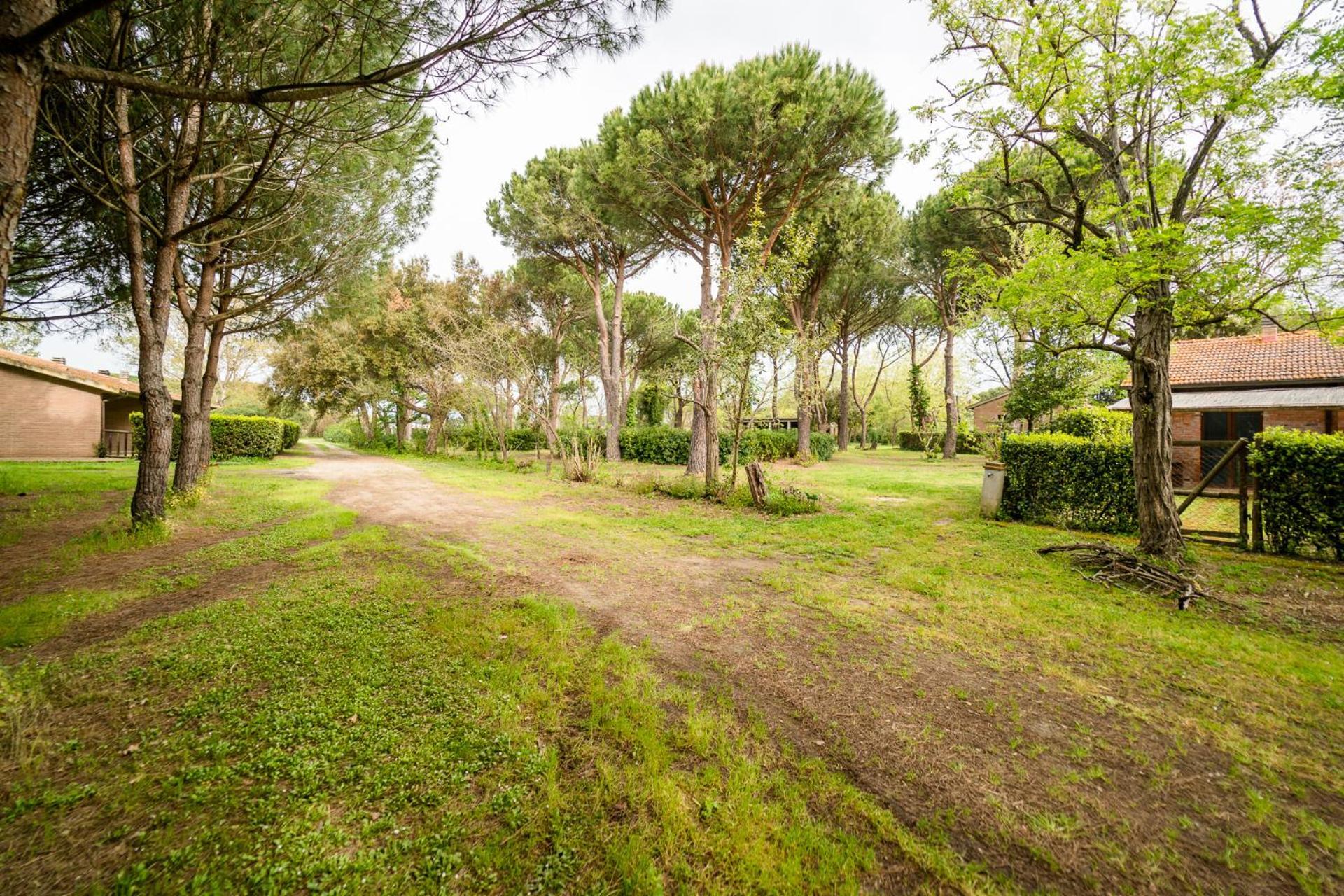 Agriturismo Bio Femminella Principina a Mare Esterno foto